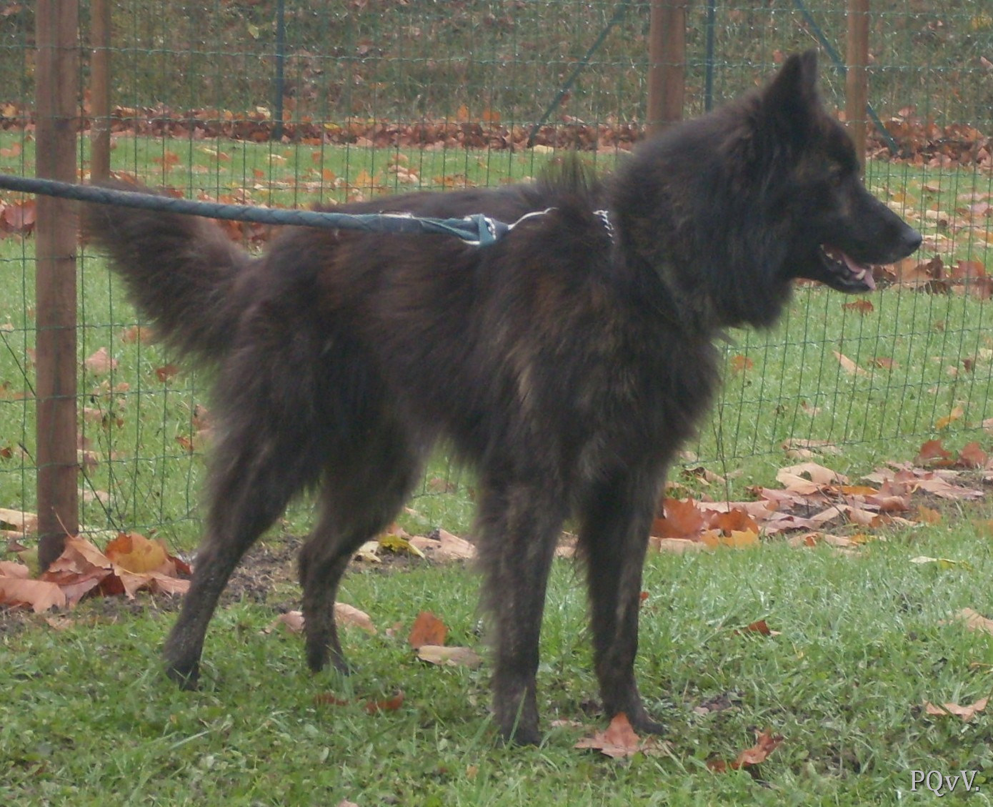 Faelan de la Horde d’Artemis (pas inscrit pour le RE) 